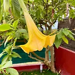 Casa Piscina & Sol 펜션 비고