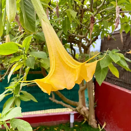 Casa Piscina & Sol Дом отдыха Виго