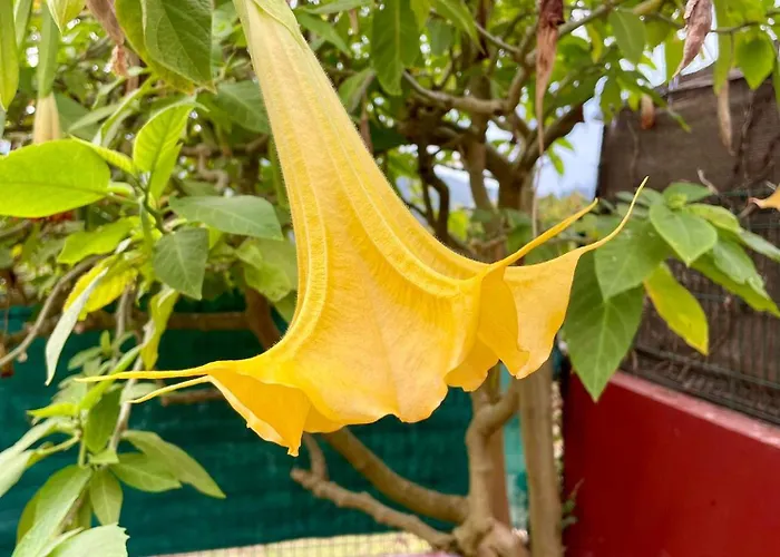 Casa Piscina & Sol Tatil Evi Vigo